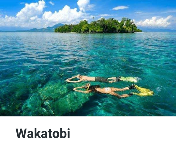 Wakatobi